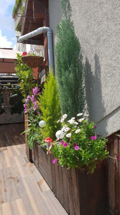 Amazing Apartment Haifa Exterior photo